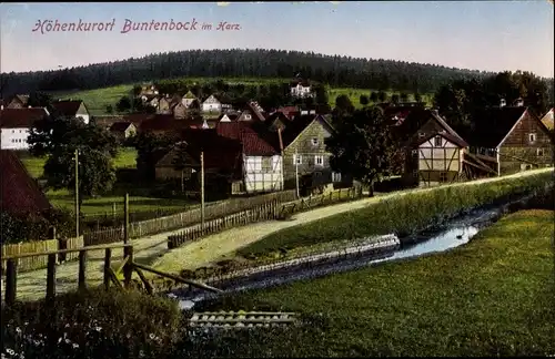 Ak Buntenbock Clausthal Zellerfeld im Oberharz, Dorfidyll, Bach