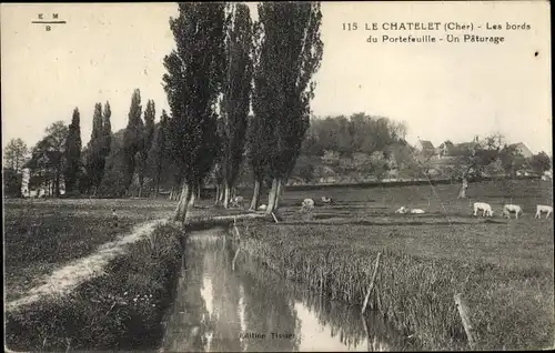 Ak Le Chatelet Cher, Bords du Portefeuille, Paturage