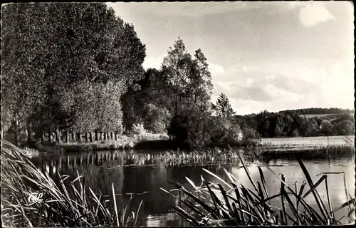 Ak Gisors Eure, Etang de la Balastiere