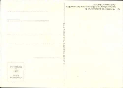 Künstler Ak Phoenicurus phoenicurus L., Gartenrotschwanz