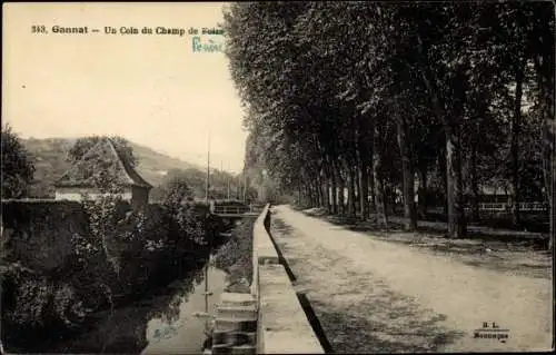 Ak Gannat Allier, Un Coin du Champ de Fouère