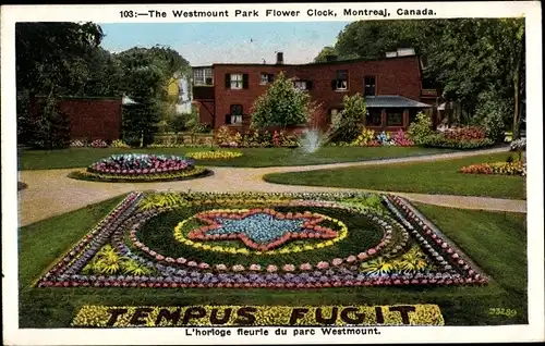 Ak Montreal Québec Kanada, The Westmount Park Flower Clock, Tempus Fugit