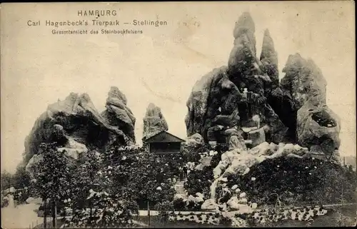 Ak Hamburg Eimsbüttel Stellingen, Carl Hagenbecks Tierpark, Gesamtansicht des Steinbockfelsens