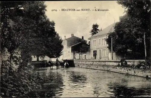 Ak Beauvoir sur Niort Deux Sèvres, L'Abreuvoir