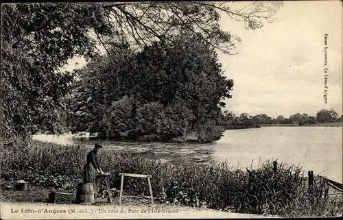 Ak Le Lion d'Angers Maine et Loire, Un coin du Parc de l'Ilse Briand