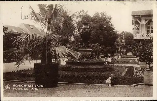 Ak Mondorf les Bains Bad Mondorf Luxemburg, Partie du Parc