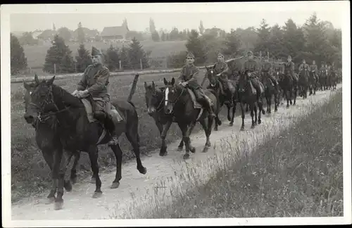 Foto Ak Schweizer Soldaten auf Pferden, Kavallerie