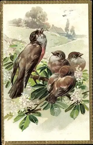 Präge Litho Vögel auf einem Kastanienbaum