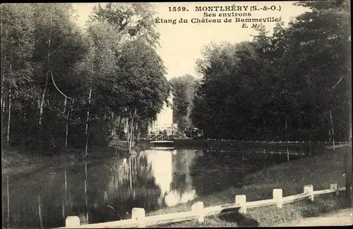 Ak Monntlhéry Essonne, Ses environs, Étang du Château de Bammeville