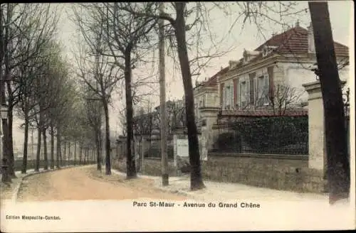 Ak Saint Maur des Fossés Val de Marne, Parc Saint Maur, Avenue du Grand Chene