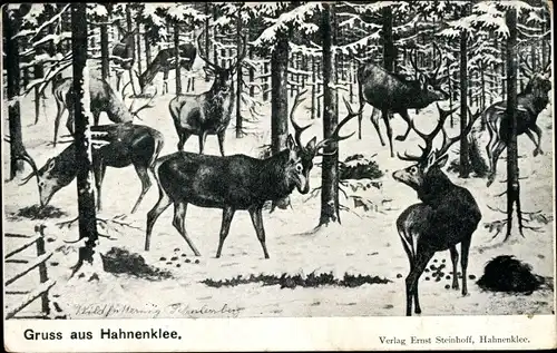 Künstler Ak Hahnenklee Bockswiese Goslar, Wildfütterung, Wald, Hirsche, Schnee