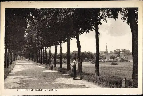 Ak Kaltenhouse Kaltenhausen Elsass Bas Rhin, Landstraße