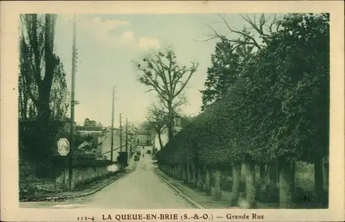 Ak La Queue en Brie Val de Marne, Grande Rue, Straßenpartie