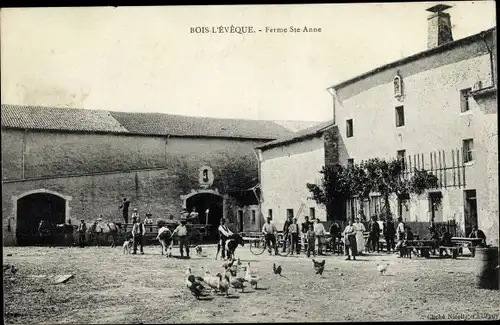 Ak Bois l'Eveque Lothringen Meurthe et Moselle, Ferme Ste Anne