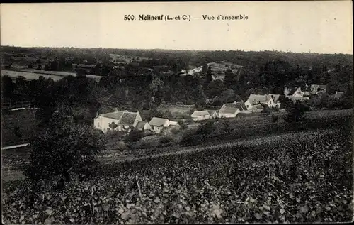 Ak Molineuf Loir et Cher, Vue d'ensemble