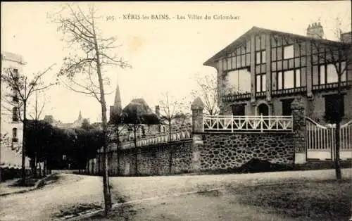 Ak Néris les Bains Allier, Villas du Colombier