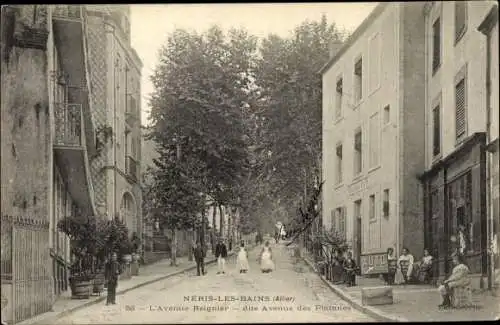 Ak Néris les Bains Allier, Avenue Reignier, Avenue des Platanes