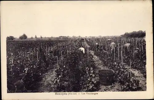 Ak Beaujeu Rhône, Les Vendanges