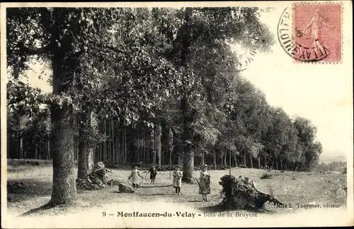 Ak Montfaucon du Velay Haute Loire, Bois de la Bruyere