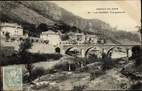 Ak Les Vignes Lozère, Vue générale