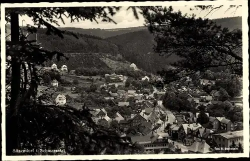 Ak Sitzendorf in Thüringen, Panorama