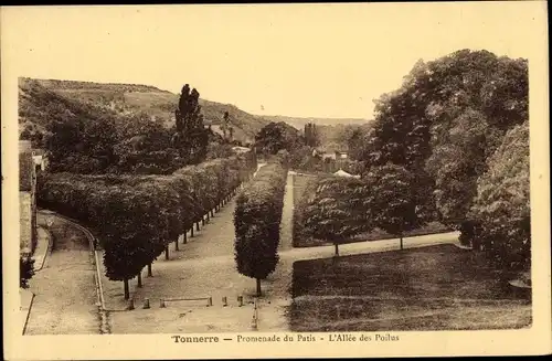 Ak Tonnerre Yonne, Promenade du Patis, l'Allee des Poilus