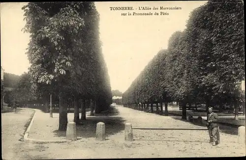 Ak Tonnerre Yonne, L'Allee des Marronniers sur la Promenade du Patis