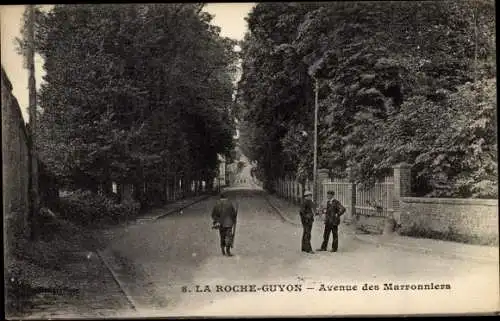 Ak La Roche Guyon Val d'Oise, Avenue des Marronniers