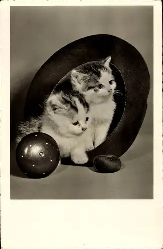 Ak Zwei kleine Kätzchen, Wollknäuel