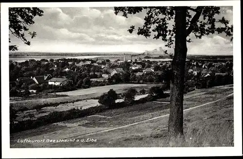 Ak Geesthacht in Schleswig Holstein, Panorama