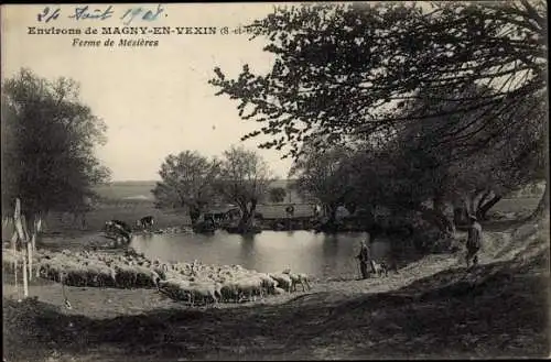 Ak Magny en Vexin Val d'Oise, Ferme de Mezieres, moutons