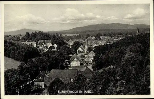 Ak Elbingerode Oberharz am Brocken, Blick über den Ort