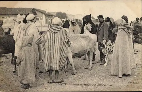 Ak Bizerte Tunesien, Arabes du Marché aux Bestiaux