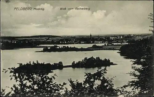 Ak Feldberg in Mecklenburg, Blick vom Reiherberg 