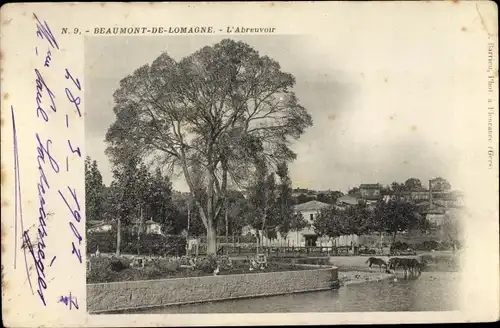 Ak Beaumont de Lomagne Tarn et Garonne, L'Abreuvoir