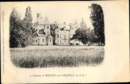 Ak Bresse sur Grosne Saone et Loire, Chateau