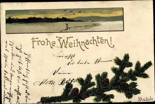 Künstler Litho Mailick, Frohe Weihnachten, Winterszene, Tannenzweig