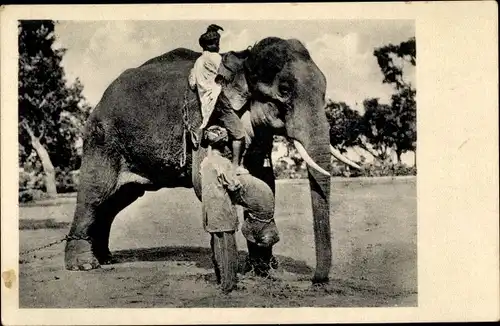 Ak Zähmung eines Elefanten, Ostindien