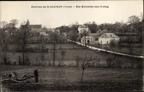 Ak Ste. Colombe sur Loing Yonne, Vue générale