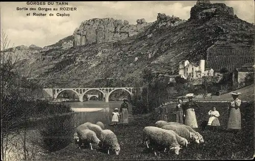 Ak Rozier Lozère, Gorges du Tarn, Sortie des Gorges, Rochar de Capluc