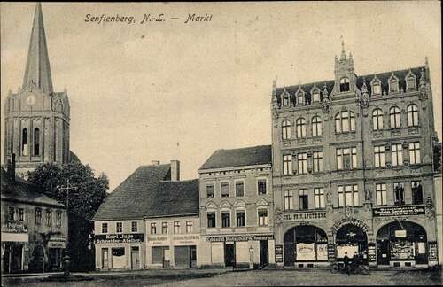 Ak Senftenberg in der Niederlausitz, Markt, Geschäft Karl Juje, Eduard Kutschera, Apotheke