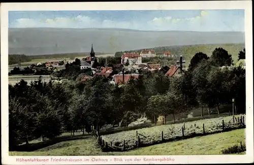 Ak Friedrichsbrunn Thale im Harz, Panorama von der Rambergshöhe
