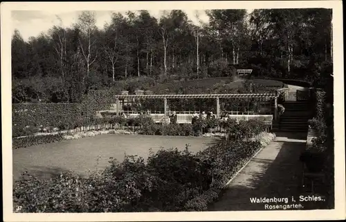 Ak Wałbrzych Waldenburg Schlesien, Rosengarten