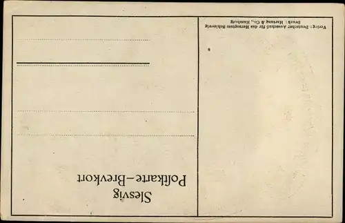 Künstler Ak Flensburg in Schleswig Holstein, Volksabstimmung 1920, Marsch durch ein Tor, Fahnen