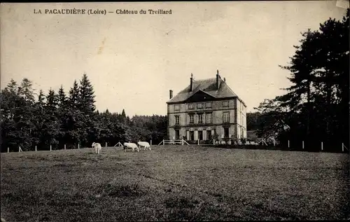Ak La Pacaudière Loire, Chateau du Treillard