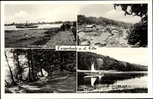Ak Tesperhude Geesthacht in Schleswig Holstein, Dampferbrücke, Promenade, Elbe, Hotel Wichmann's