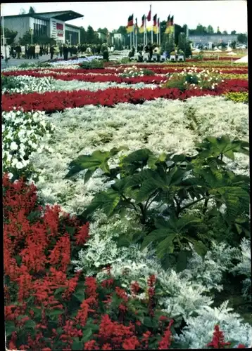 Ak Erfurt in Thüringen, iga, Blick über das große Blumenbeet zum Festplatz