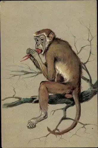 Künstler Ak Affe isst eine Rübe auf einem Baumast