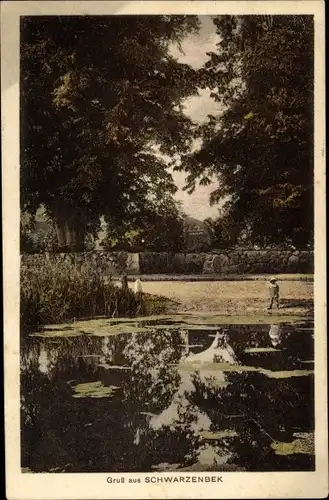 Ak Schwarzenbek im Herzogtum Lauenburg, Partie am See, Kind