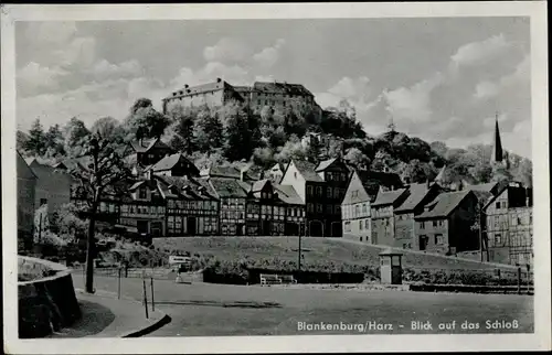 Ak Blankenburg am Harz, Blick auf das Schloss